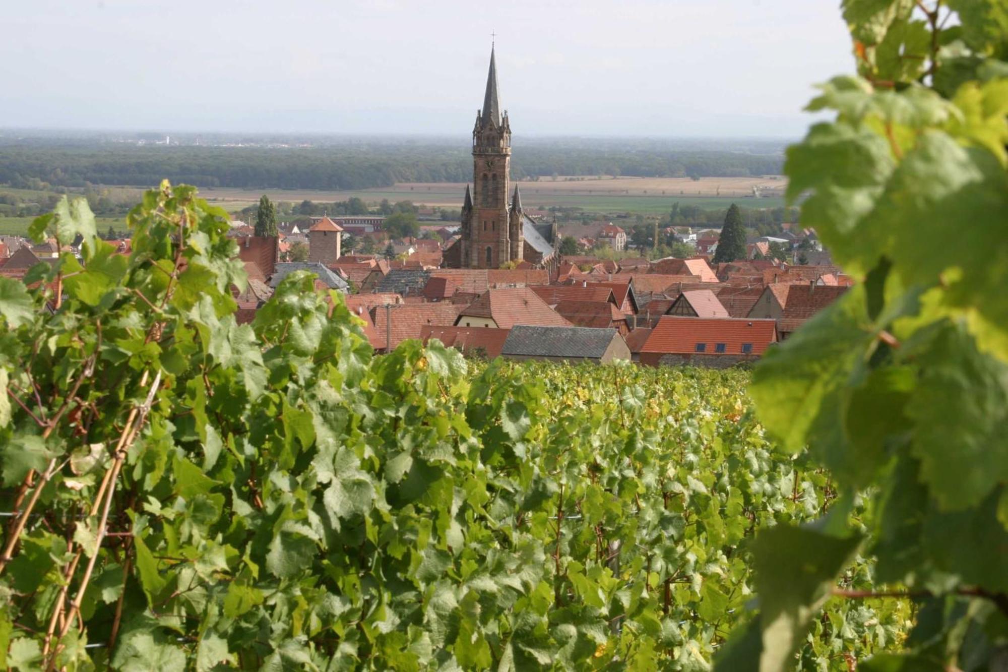 Chambres D'Hotes Ruhlmann Dambach Kültér fotó